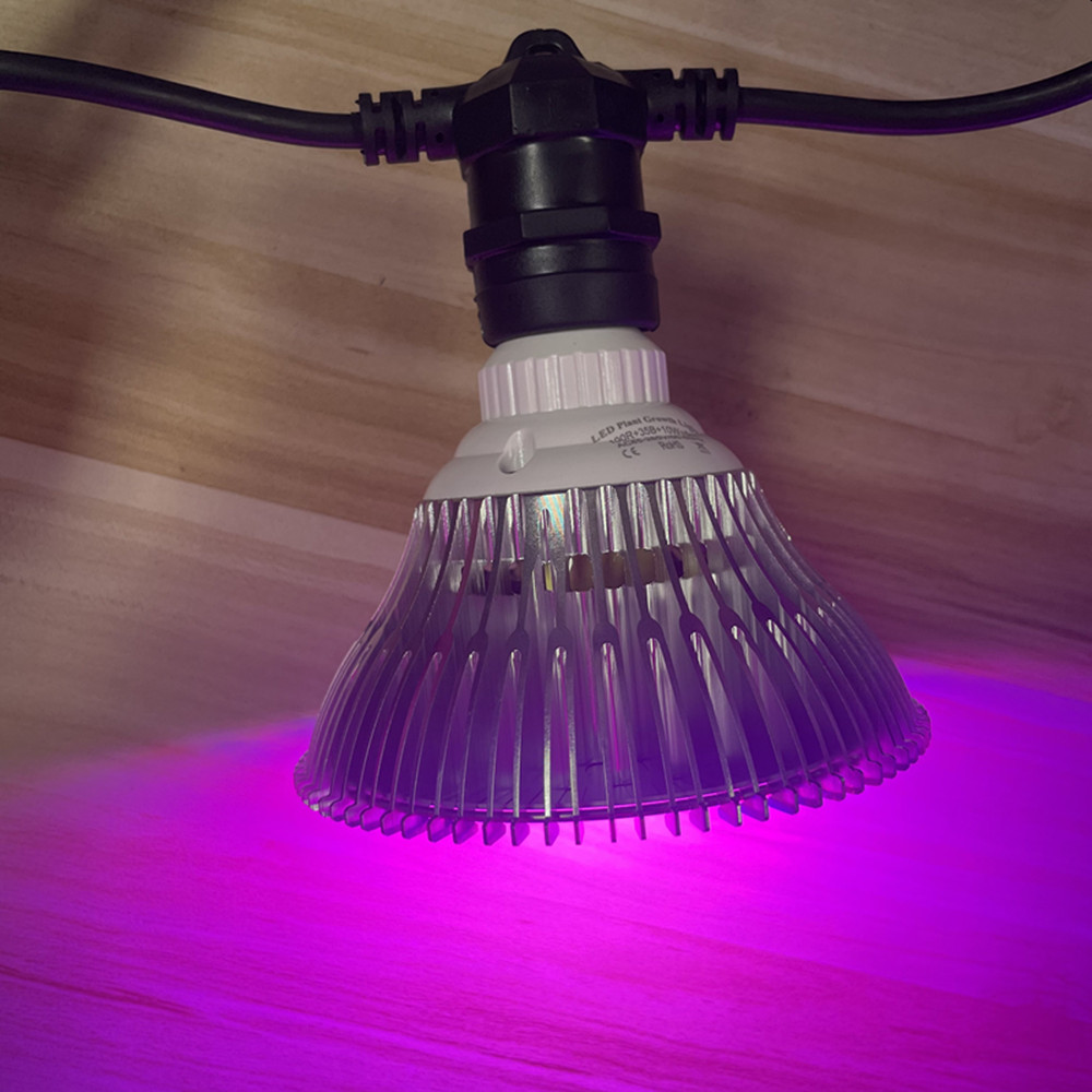 10M Cable LED String Commercia - Lighting Decoration Ideas review and price